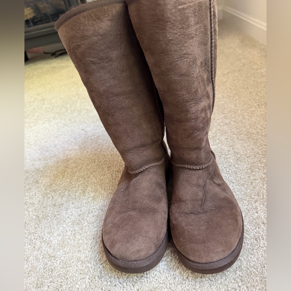 UGG Women's Chocolate Suede Winter Boots